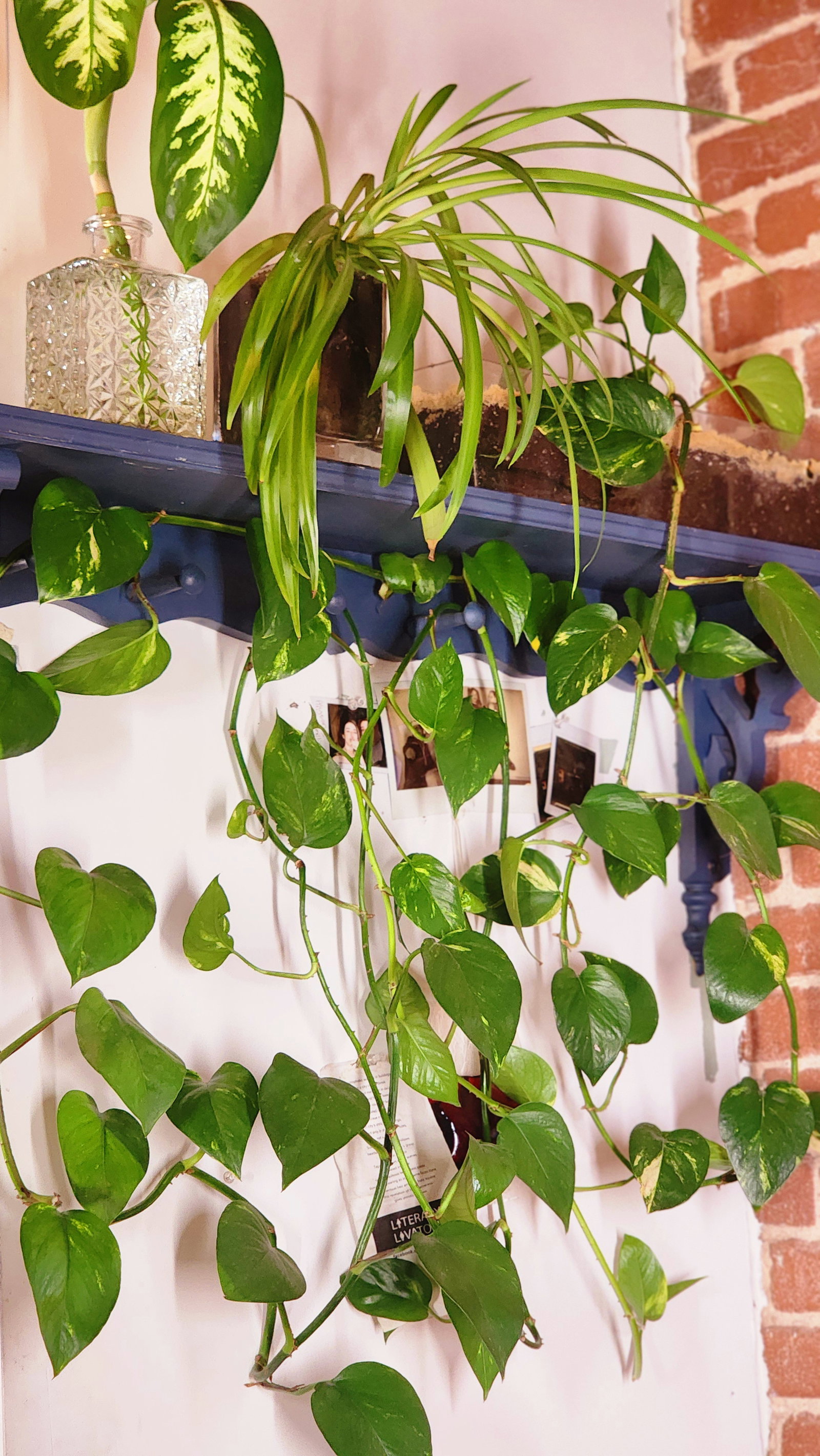 Zakwaterowanie U Rodziny Montréal 390712