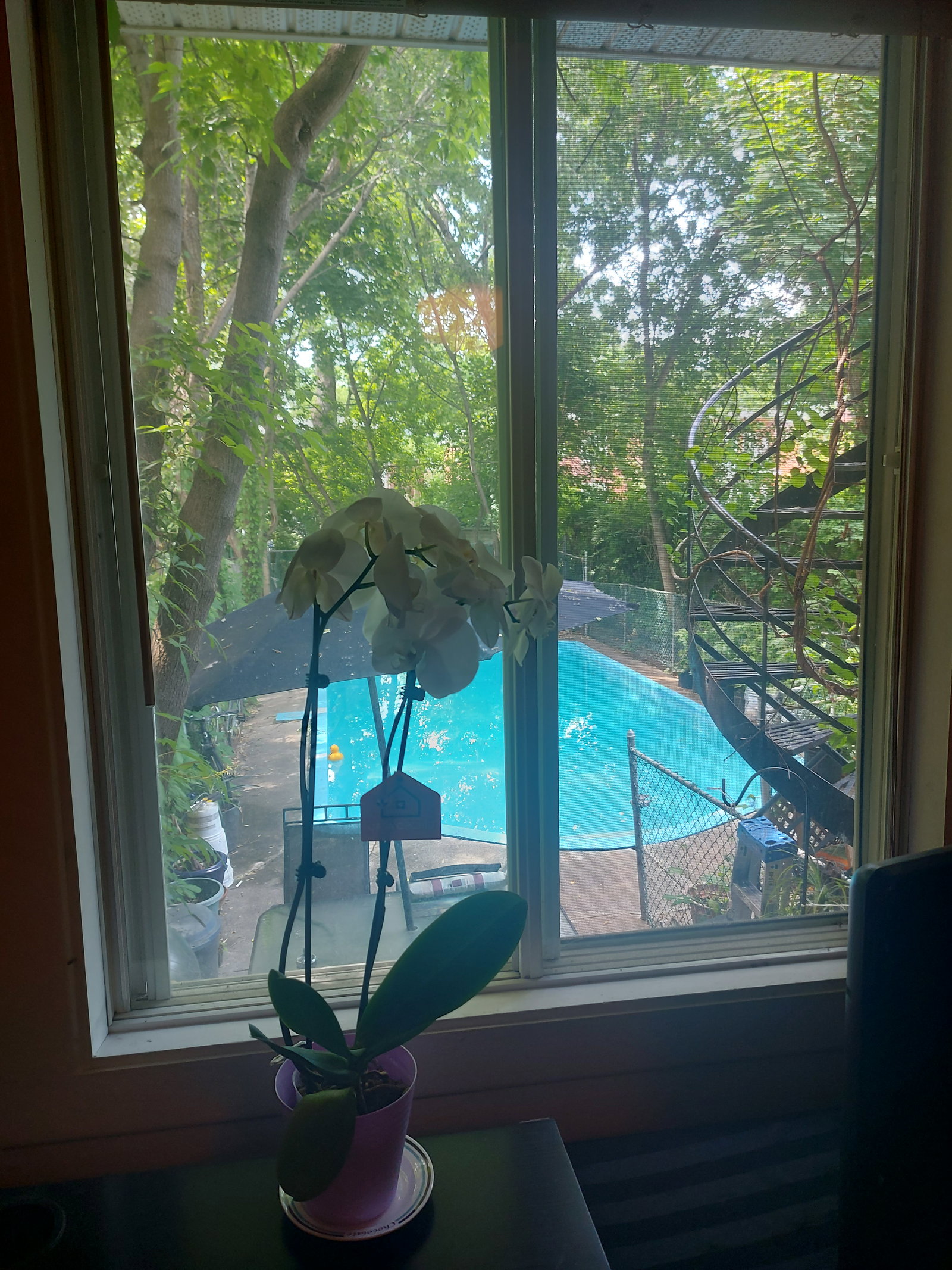 Homestay Montréal 387155