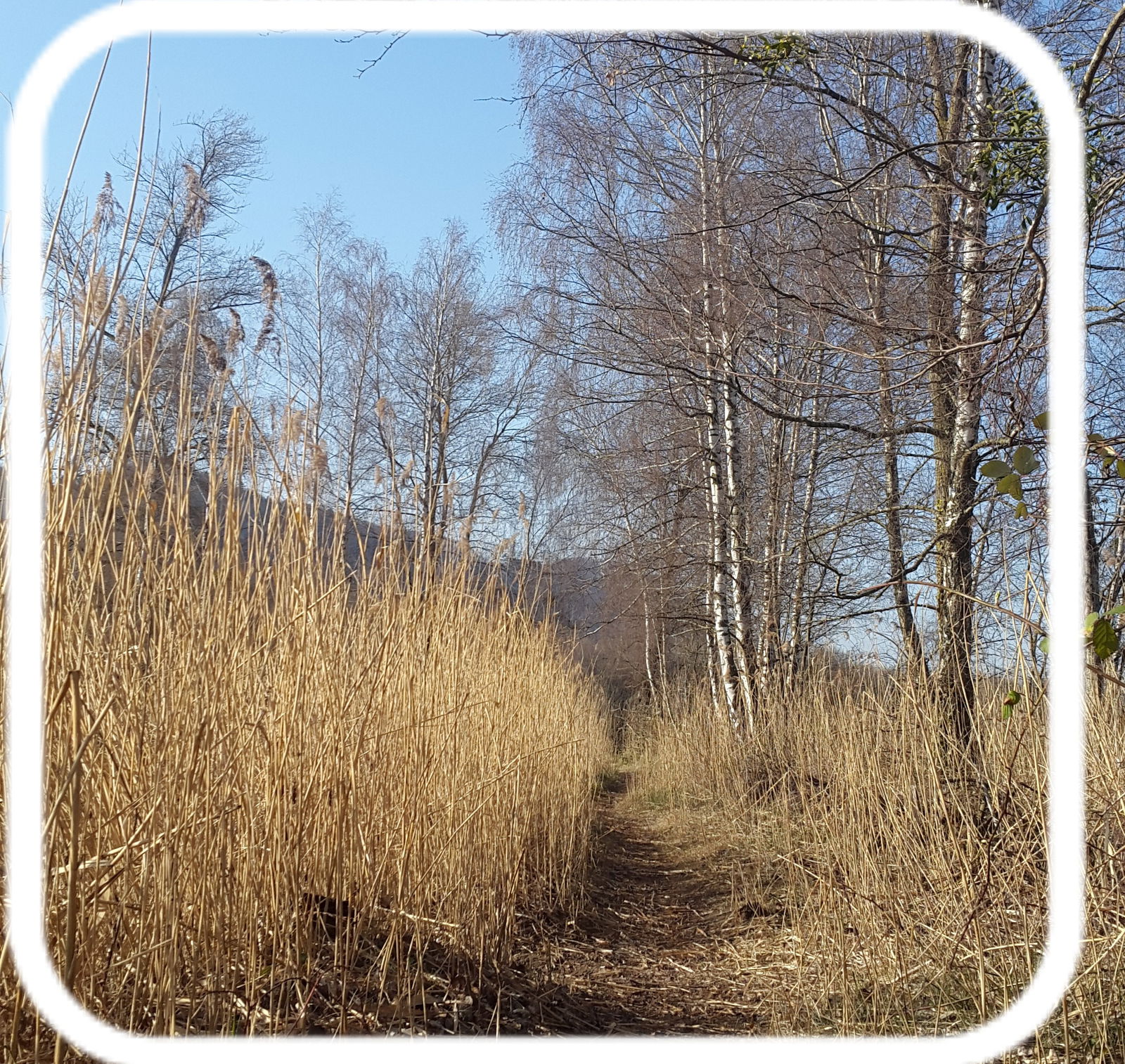 Famiglia Cheyres-Châbles 583121