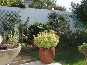 Chambre Chez L'habitant Poitiers 106482-7