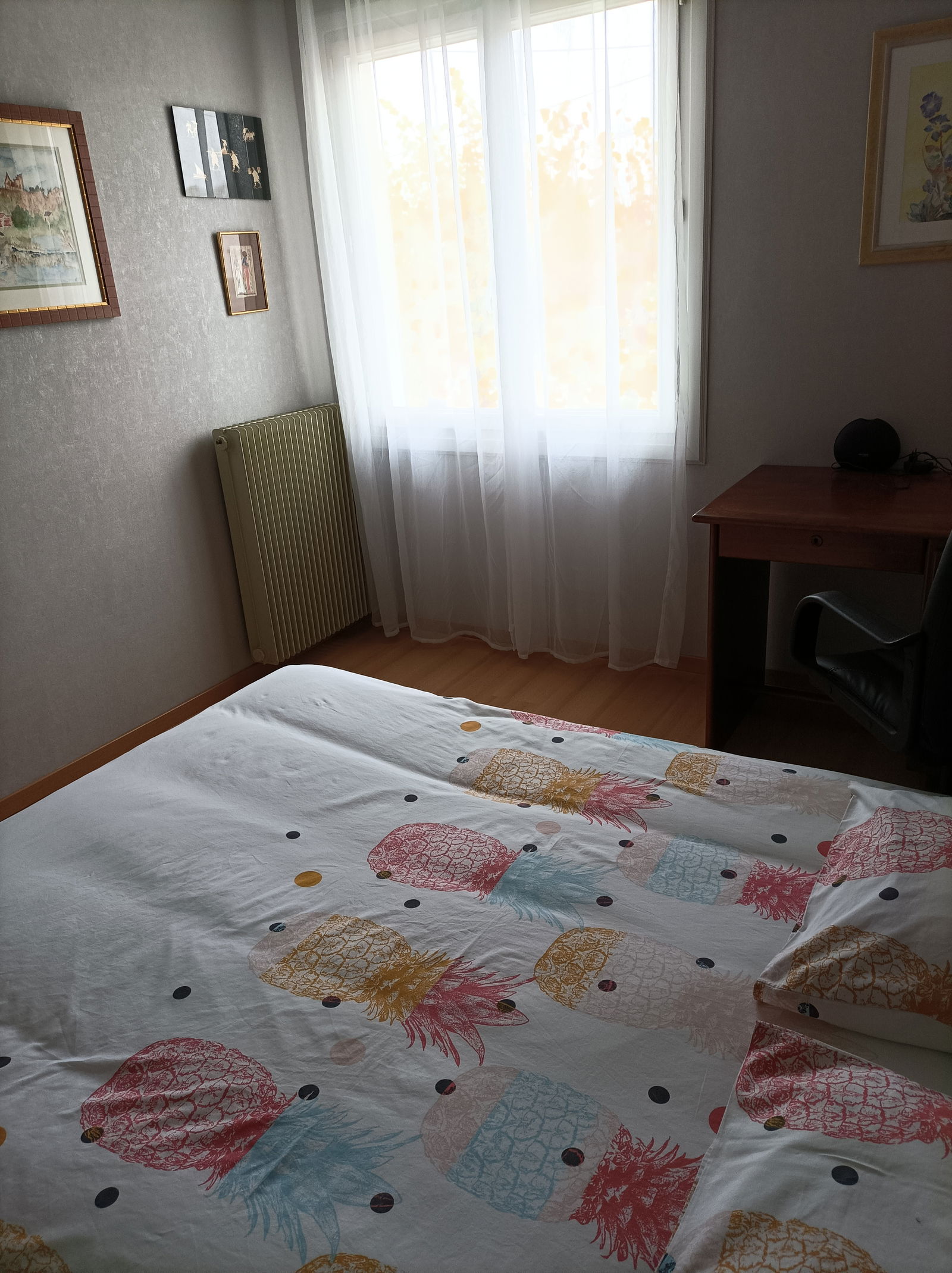 Homestay Poitiers 106482
