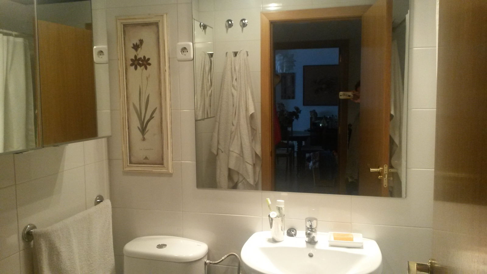Colocation Pozuelo 86108