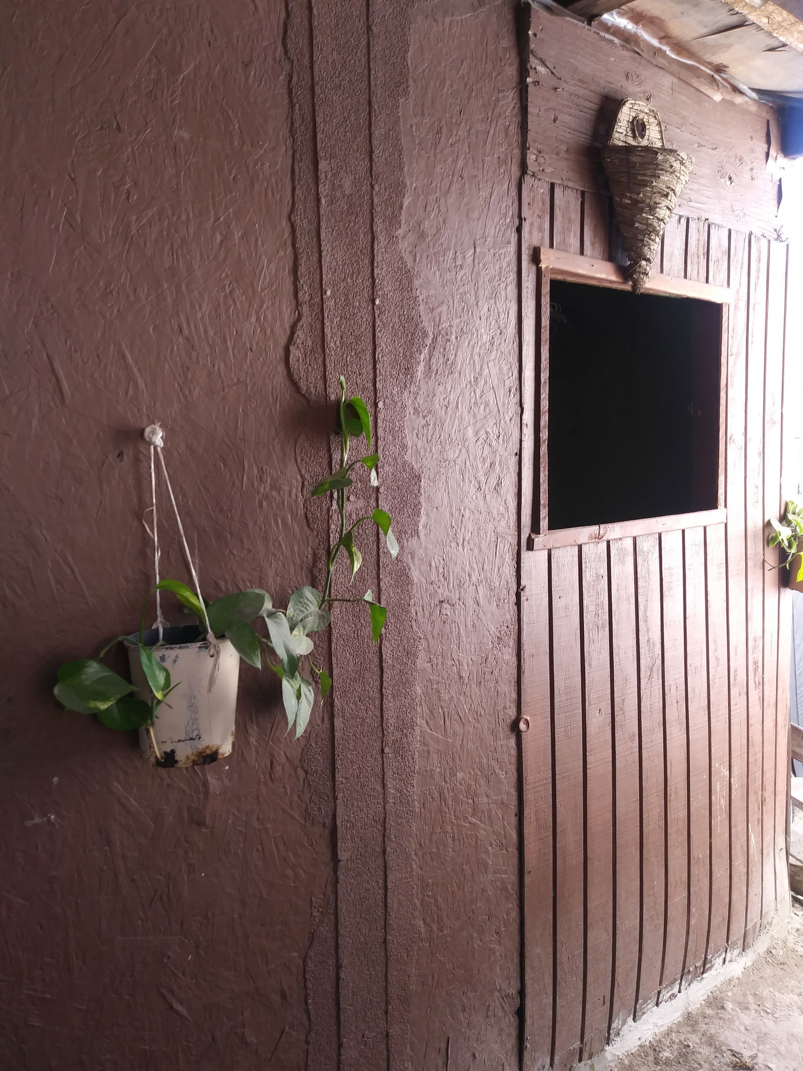 Homestay Tijuana 253808