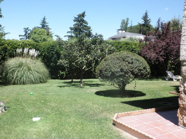 Homestay Villaviciosa-de-Odon 19411