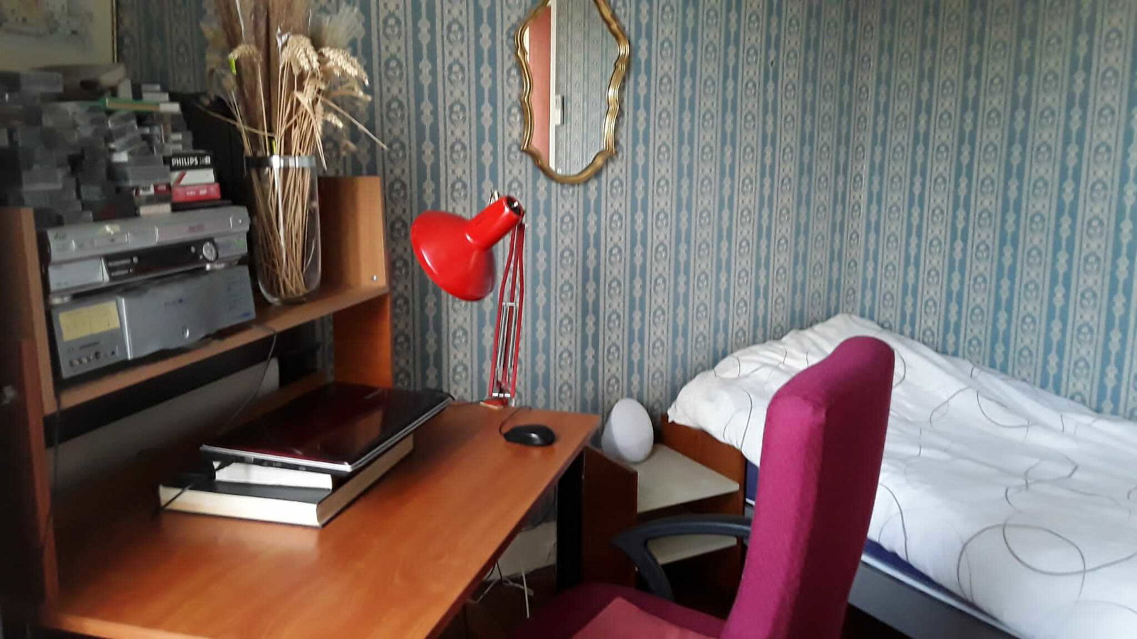 Colocation Maisons-Alfort 259260