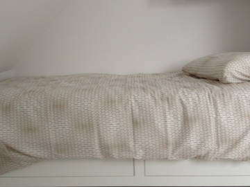 Colocation Willstätt 660171-9