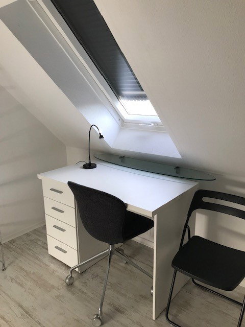 Kolokasie Willstätt 660171