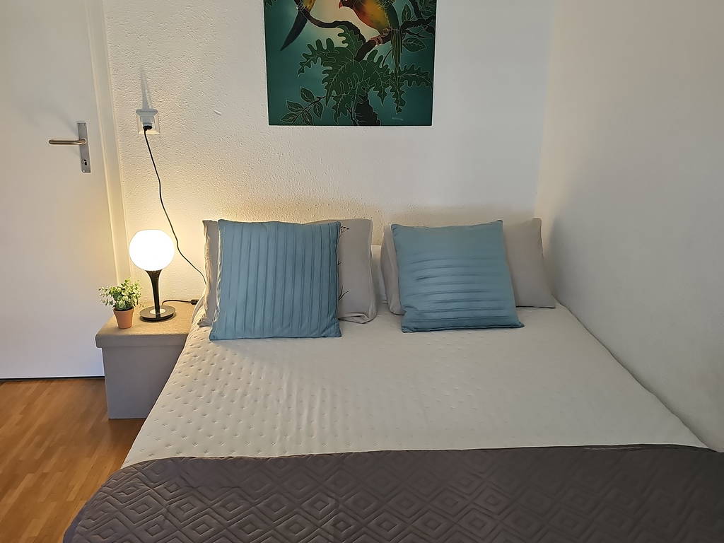 Chambre Chez L'habitant Ecublens 677728-1