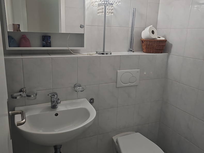 Chambre Chez L'habitant Ecublens 677728-5