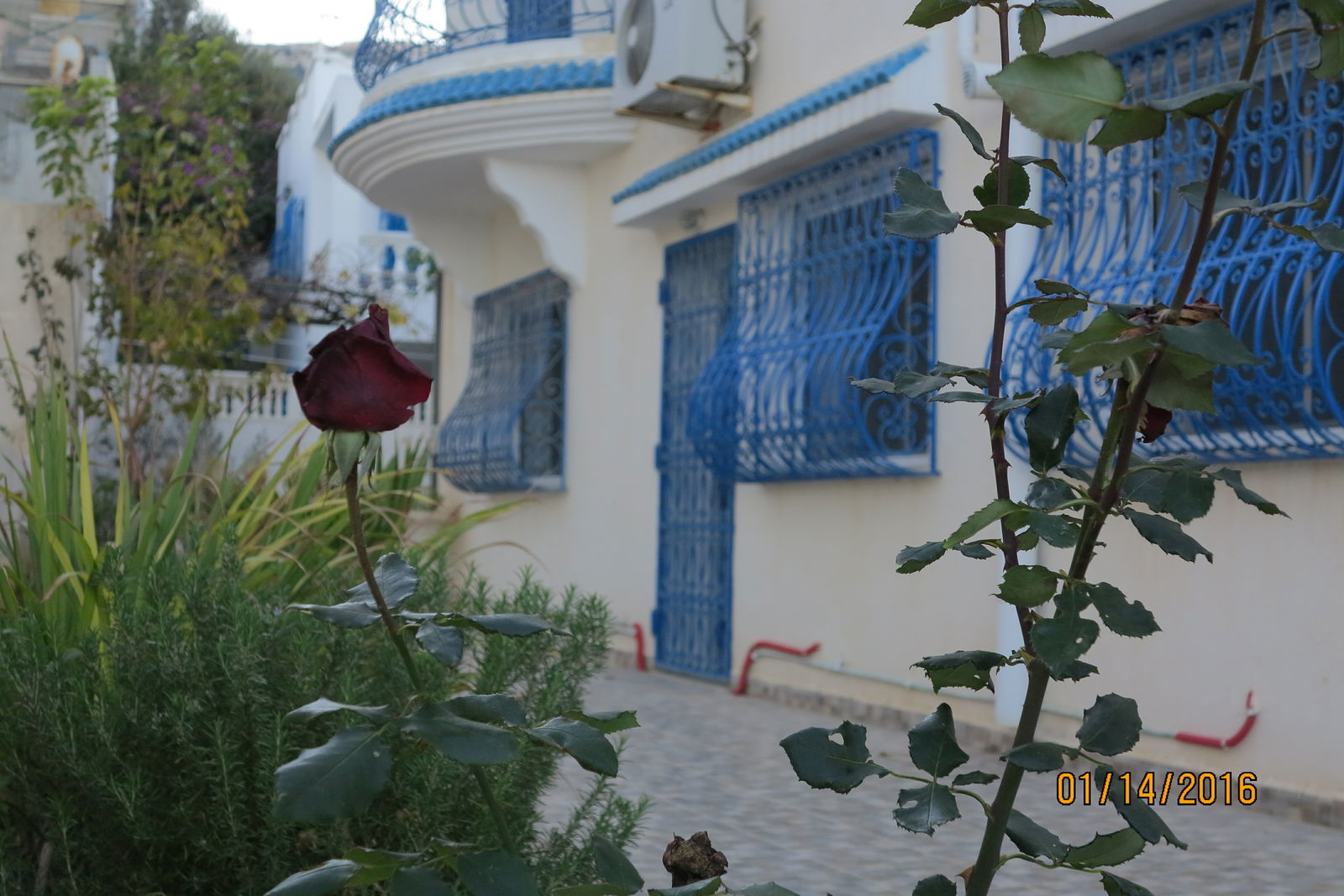 Gehele Woning Tunis 319316