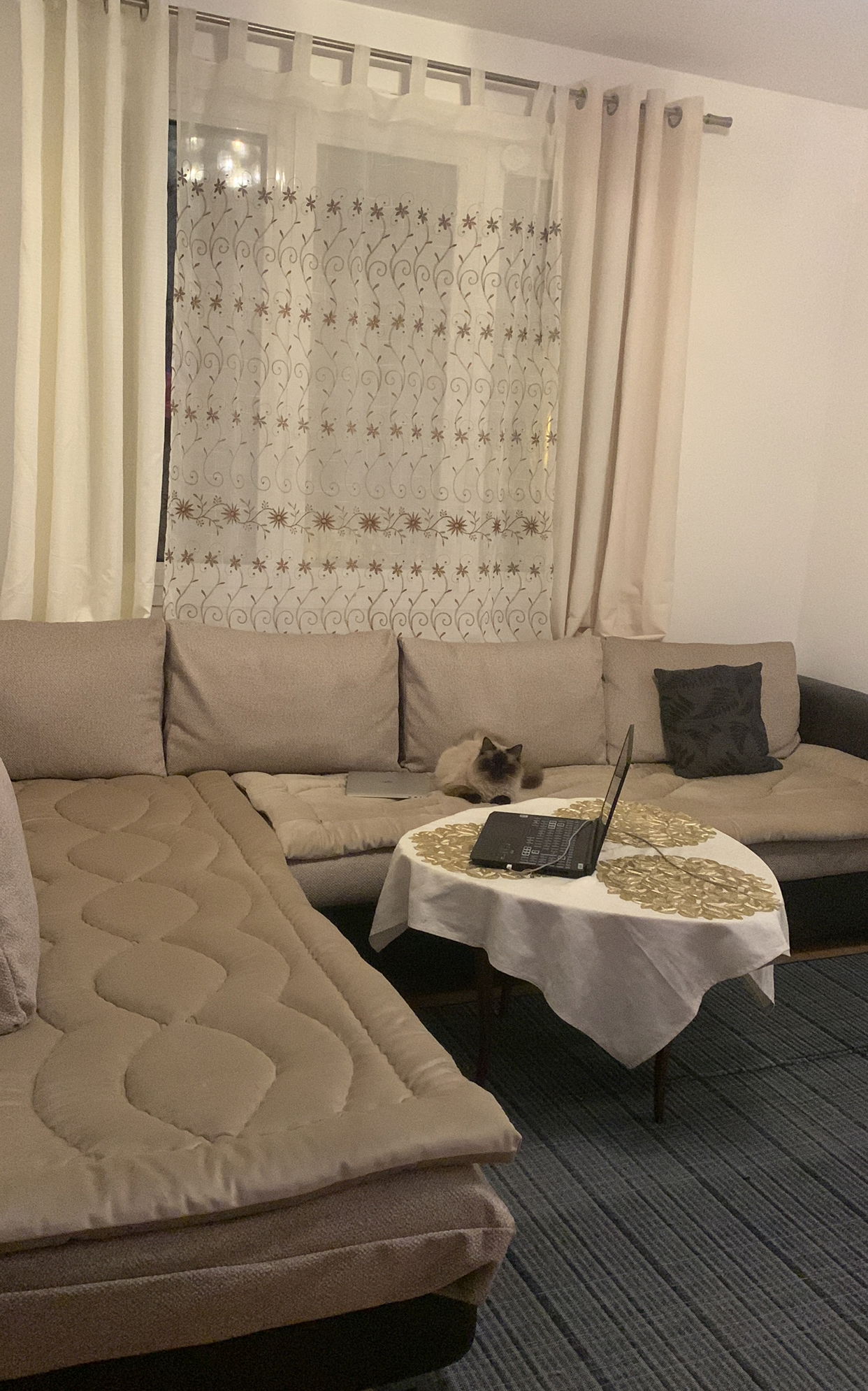 Colocatie Chennevières-sur-Marne 587068