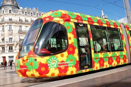 Gastgezin Saint-Jean-de-Védas 67824