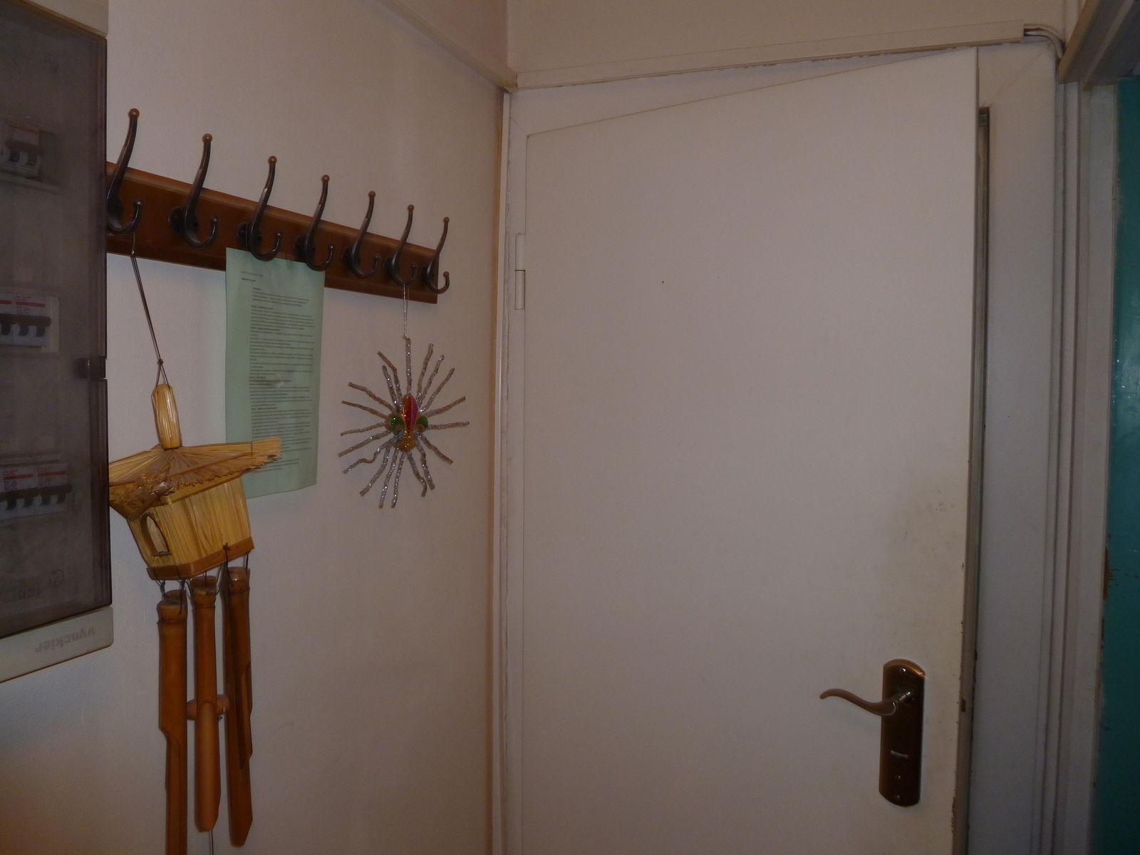 Colocatie Forest 124618