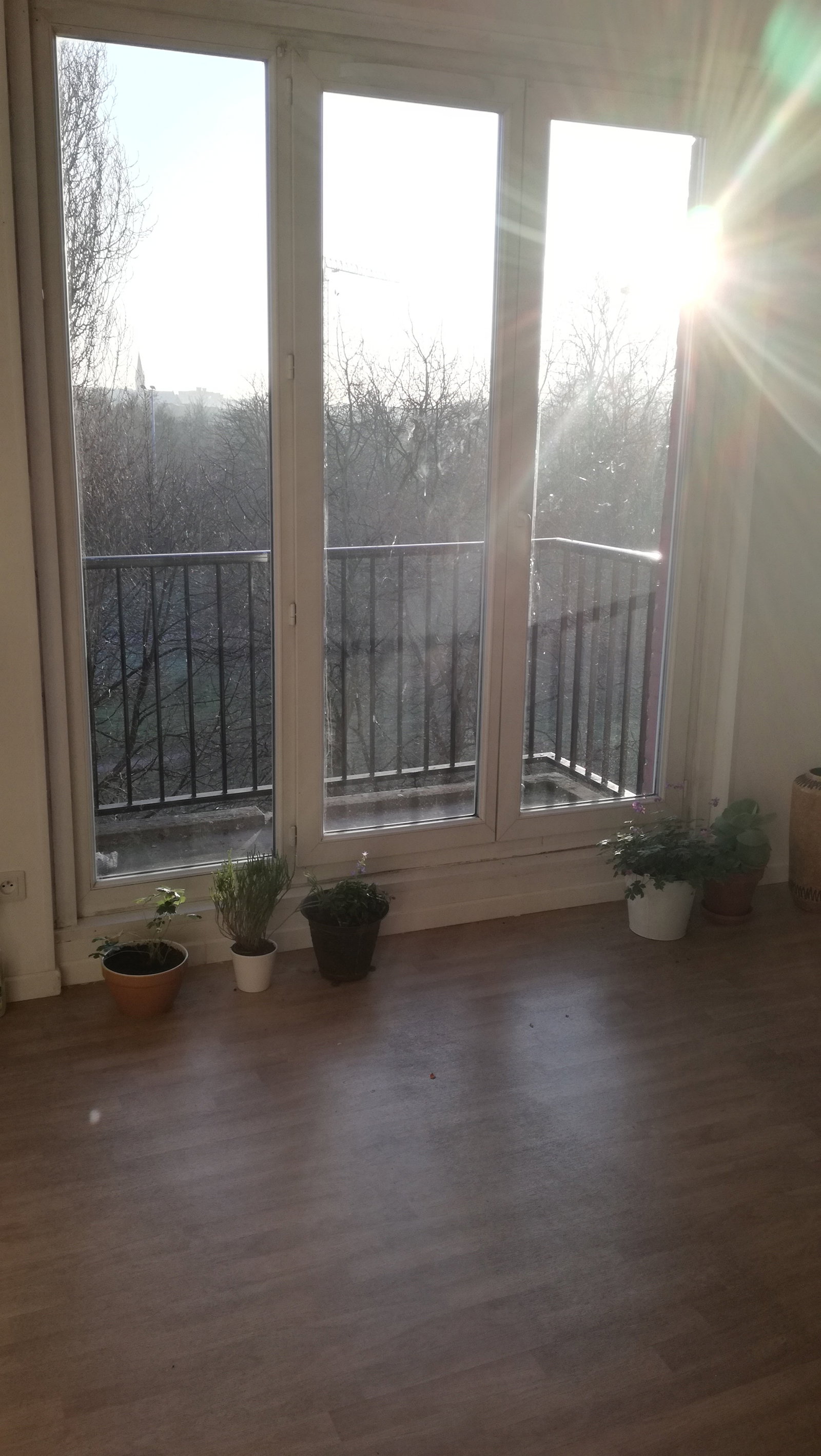 Colocation Lille 160774