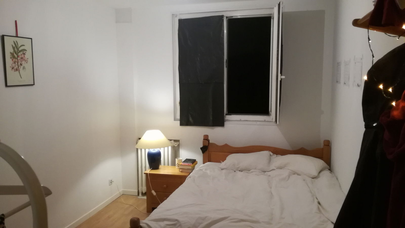 Kolokasie Lille 160774