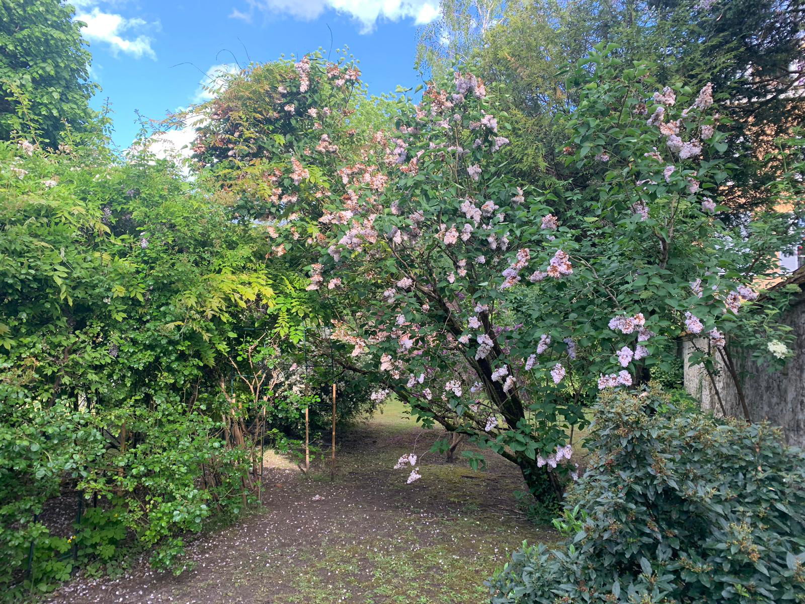 Homestay Fontainebleau 519518