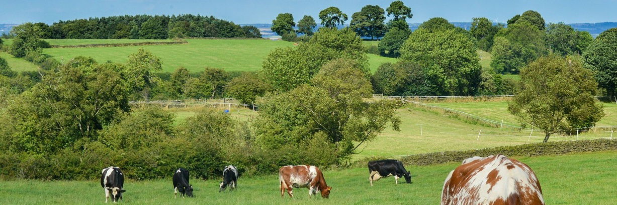 Gastgezin Fruges 233518