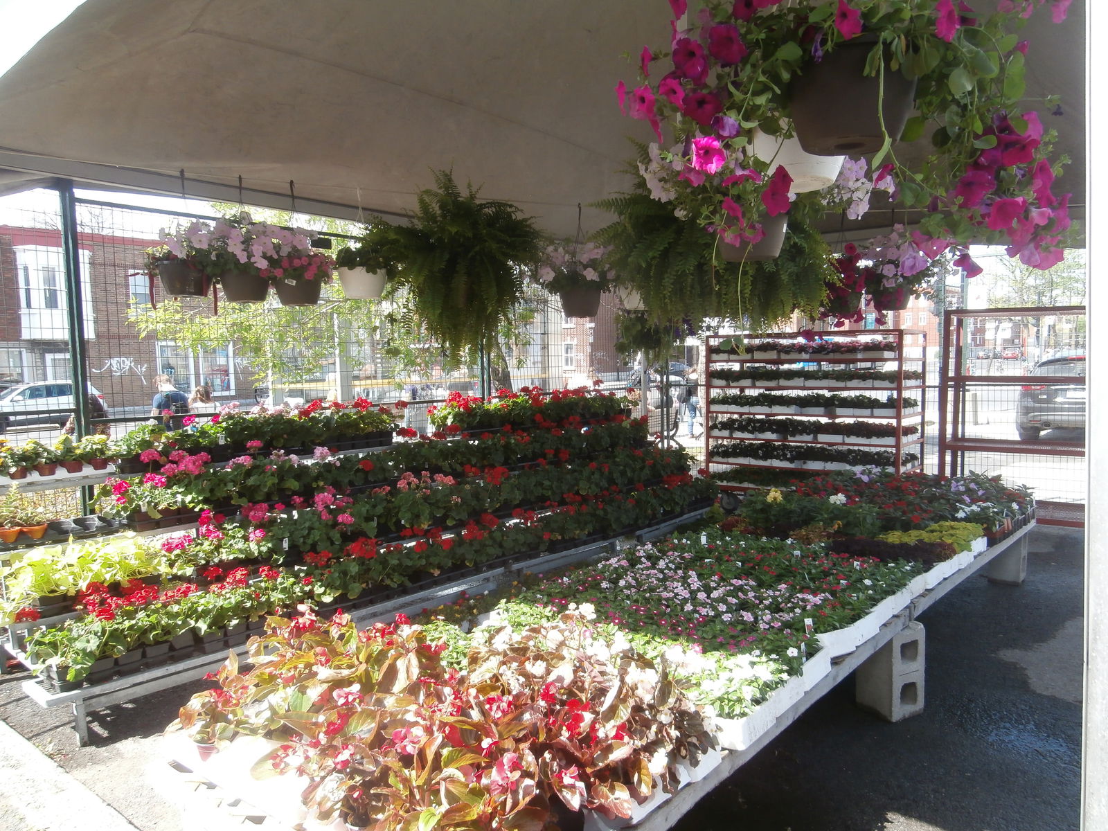 Gastgezin Montréal 74070