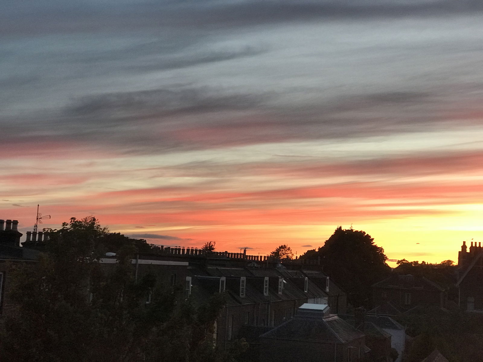 Gastgezin Dundee 158072