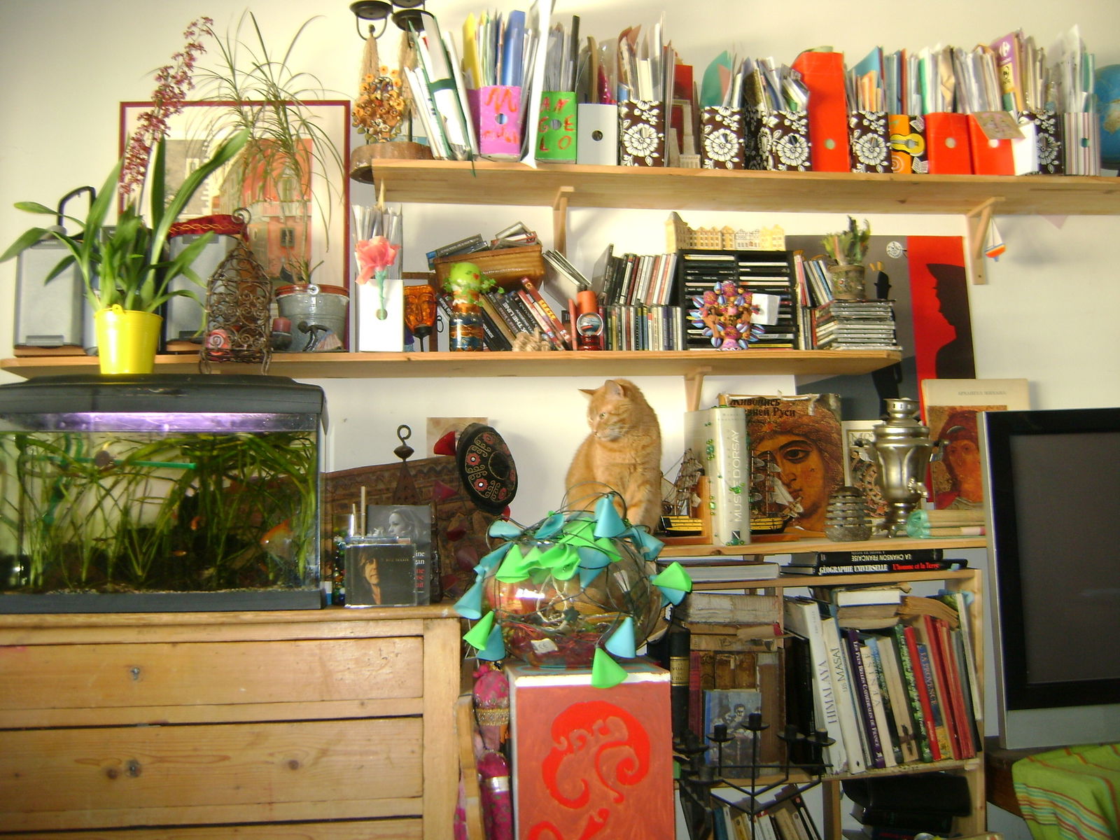 Gastgezin Saint-Mandé 118234