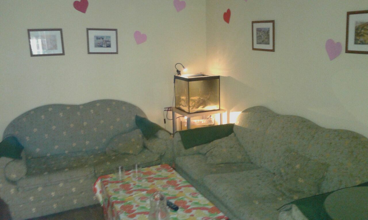 Colocatie Madrid 110944