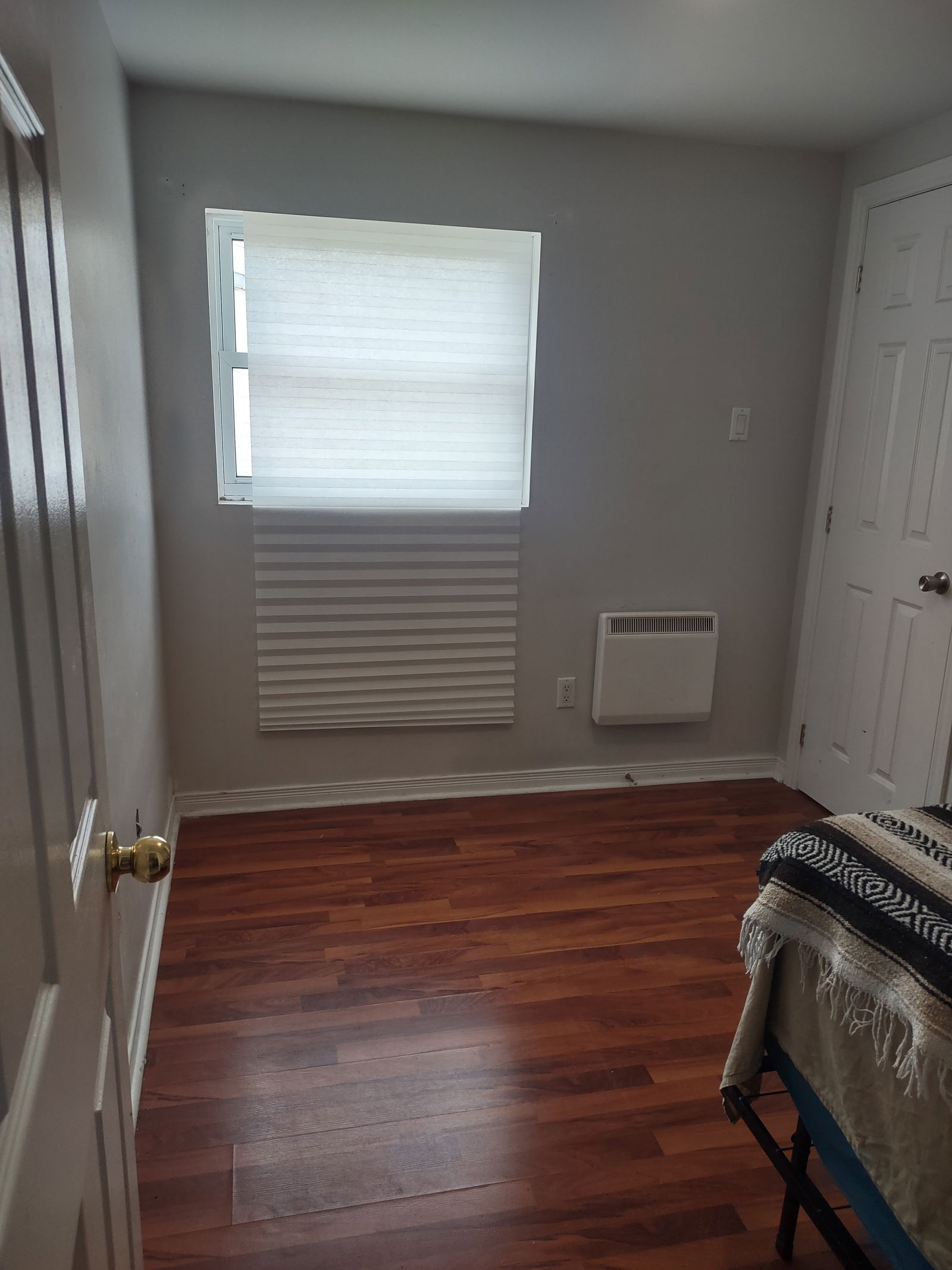 Kolokasie Ottawa 551773