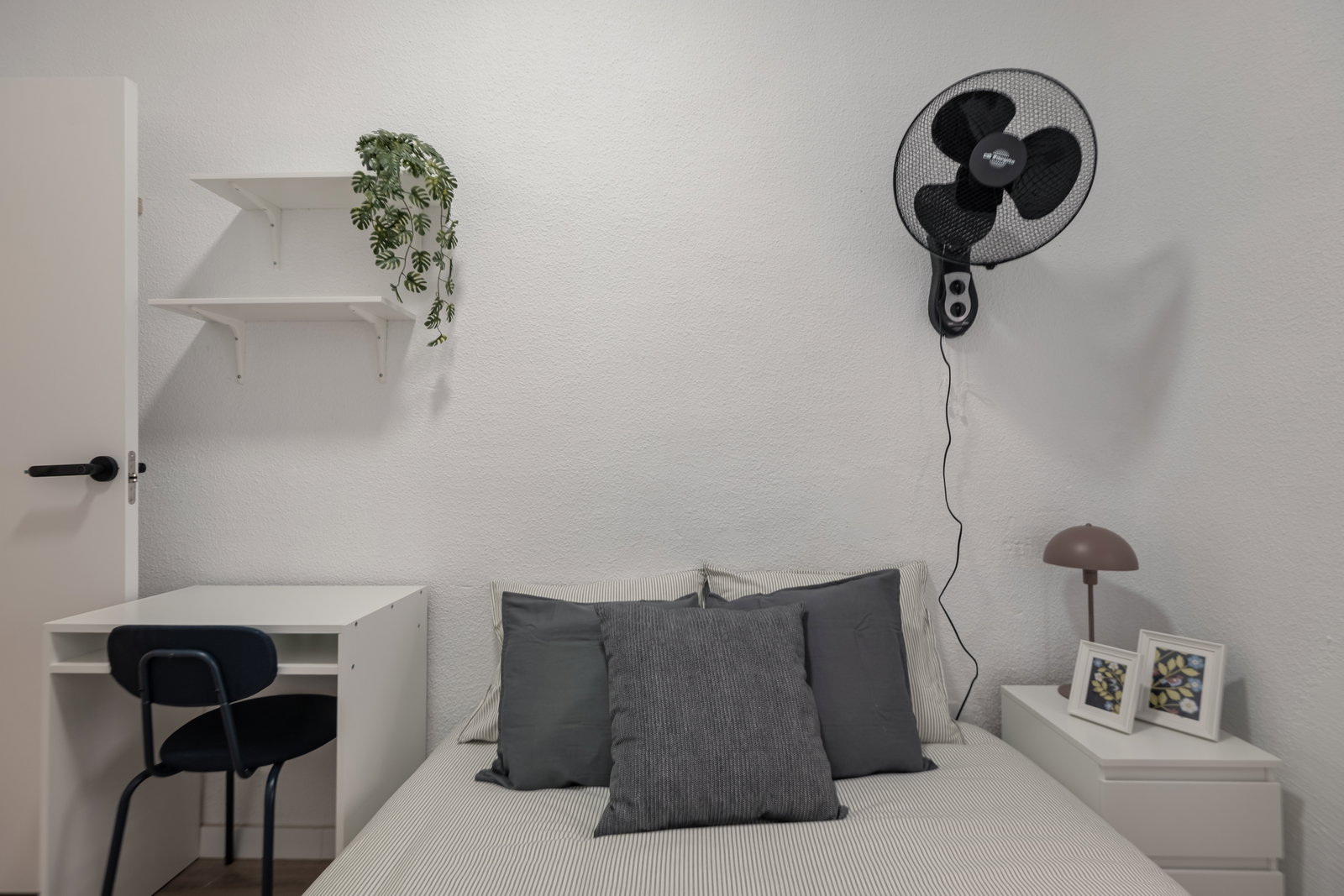Homestay Alicante 665706