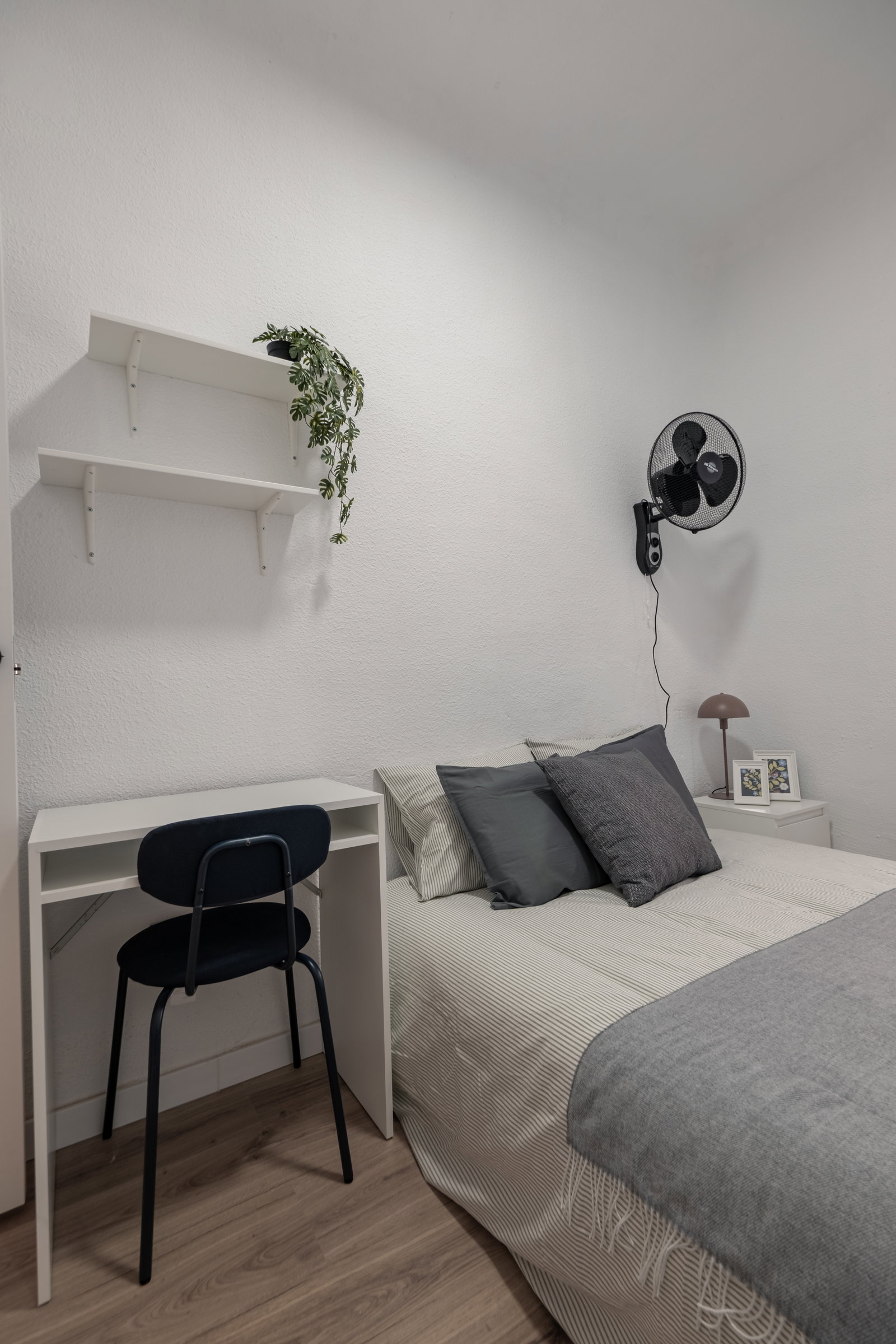 Homestay Alicante 665706