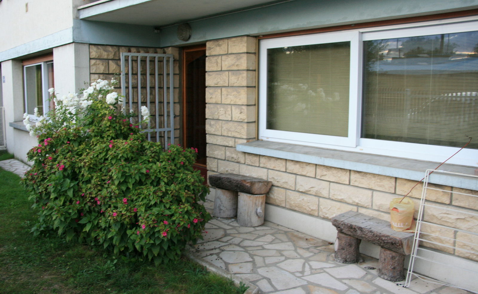 Kolokasie Argenteuil 83317