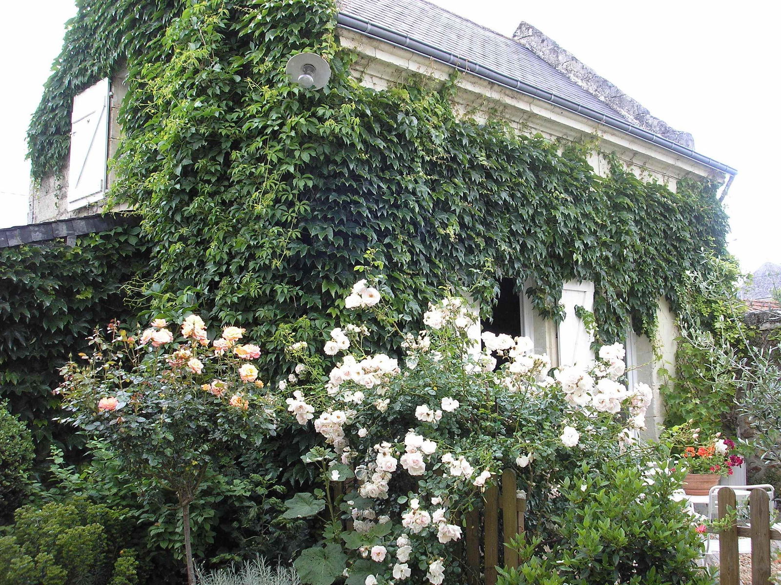 Unabhängiges Studio Beaumont-en-Véron 238253