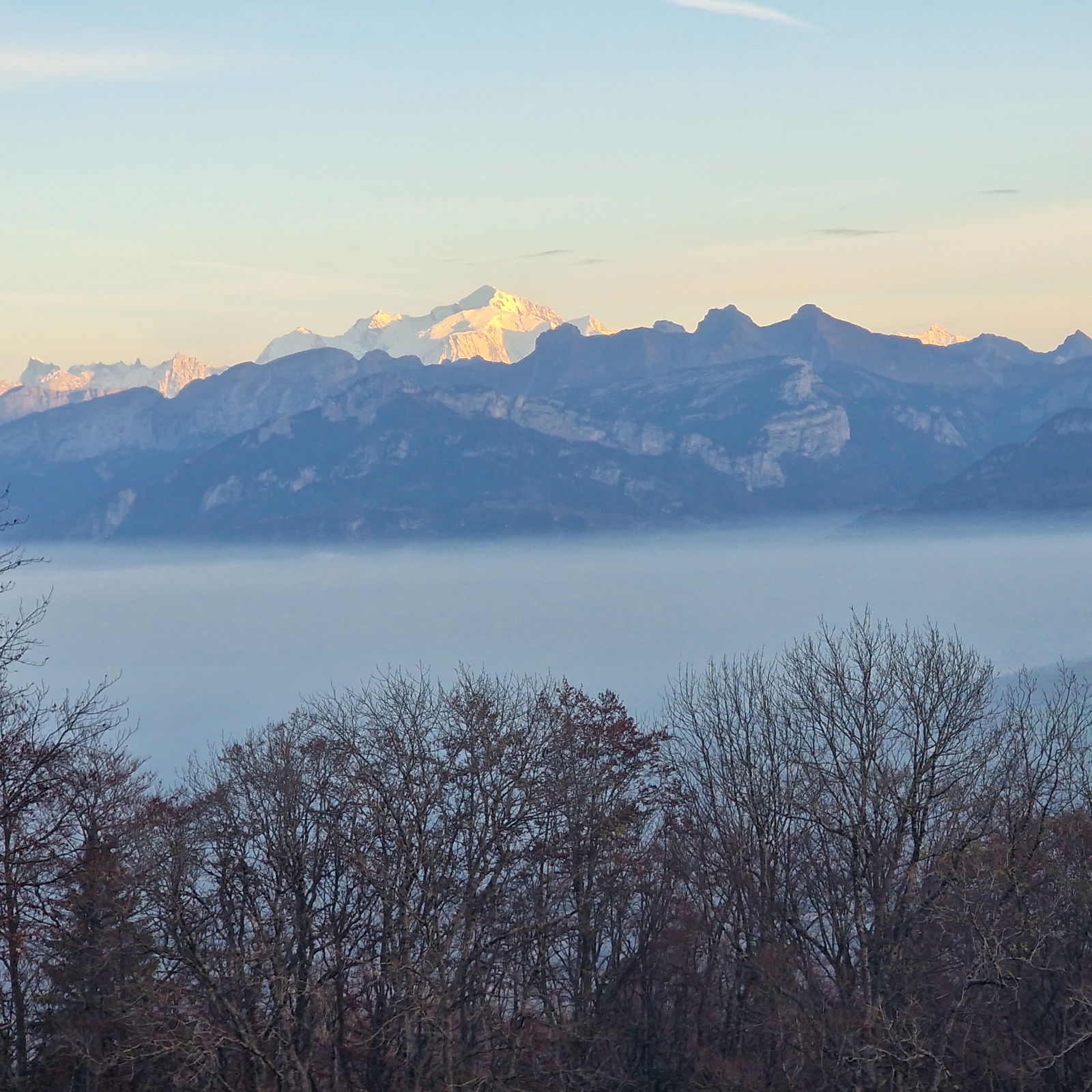 Kolokation Domont 450033