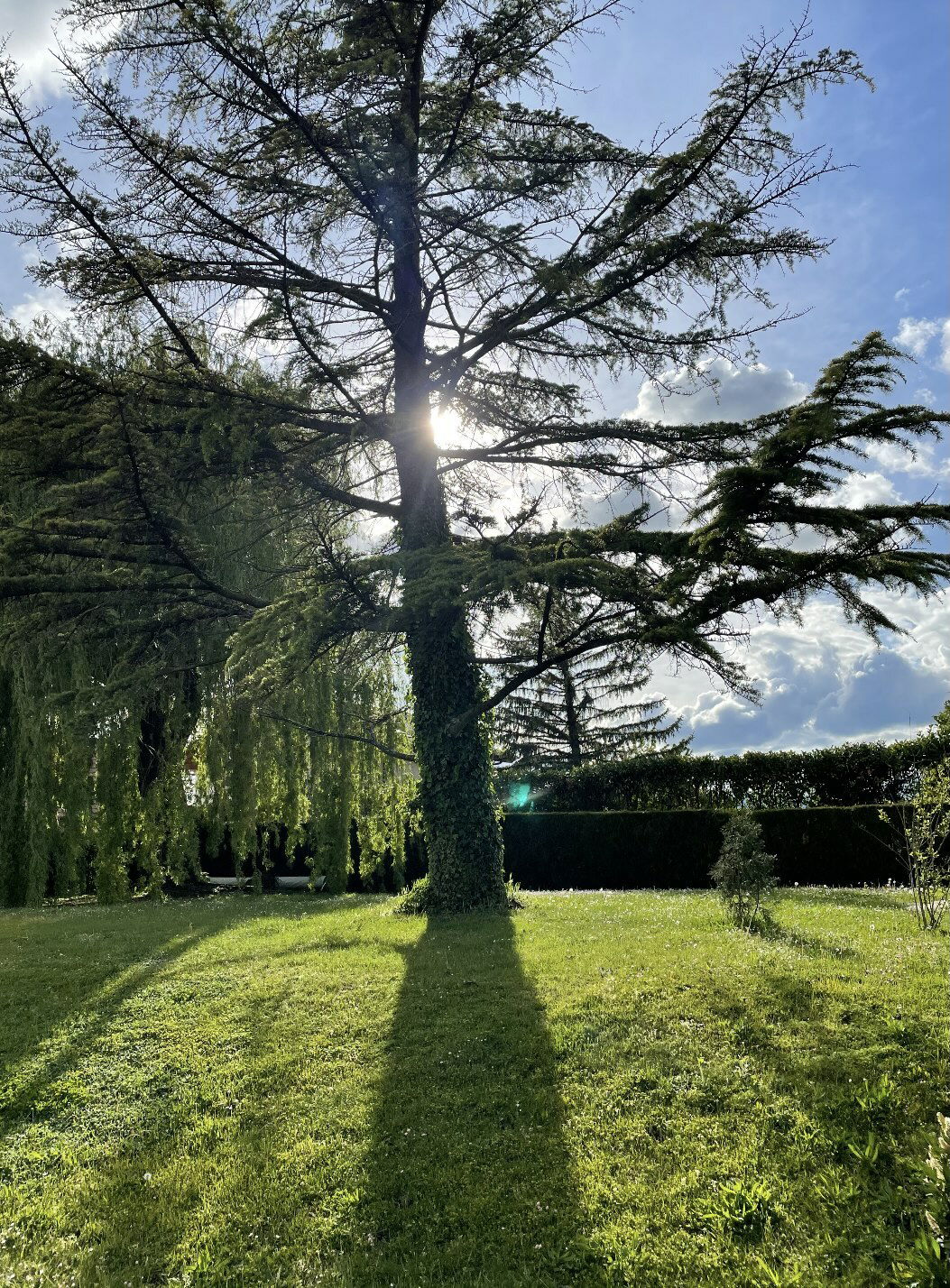 Zusammenleben Ville-la-Grand 248638