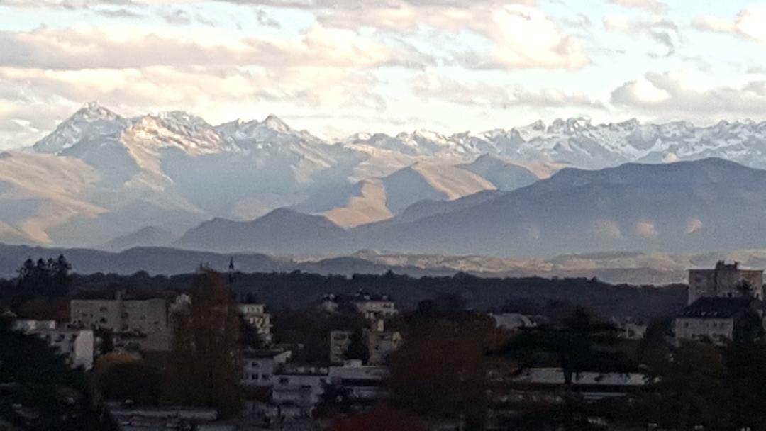 Kolokation Pau 225719