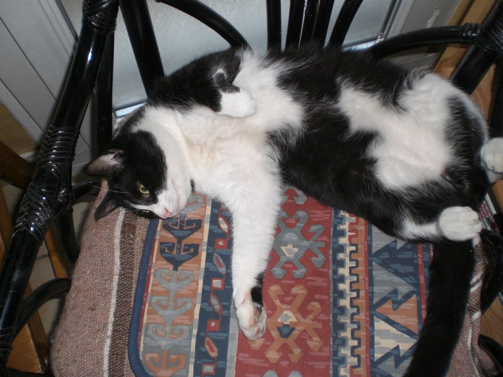 Kolokation Chambery 3616