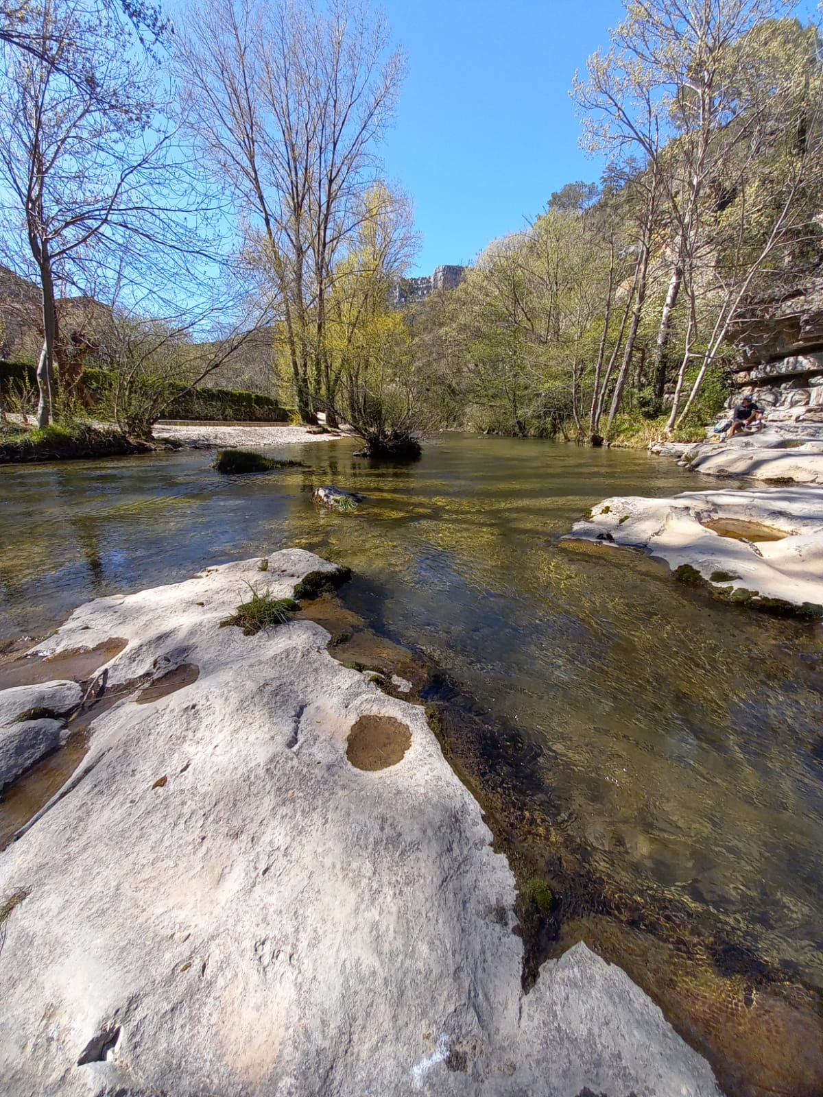 Kolokation Thonon-les-Bains 266184