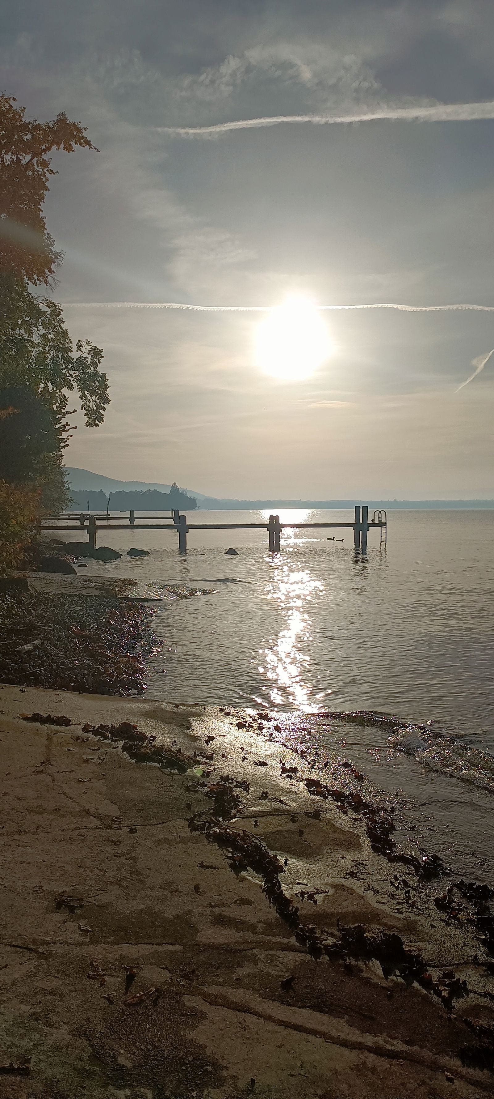 Kolokation Thonon-les-Bains 266184