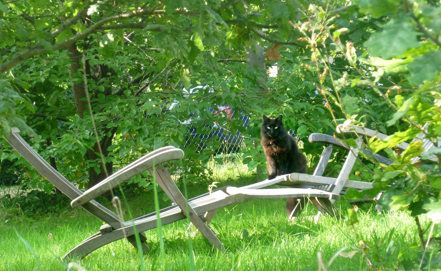 Gästezimmer Rixensart 91202