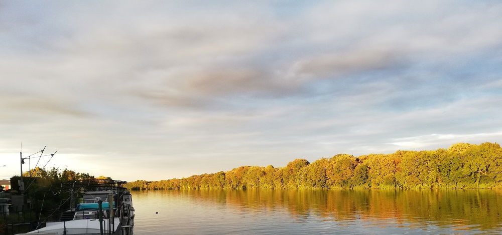 Kolokation Athis-Mons 246665