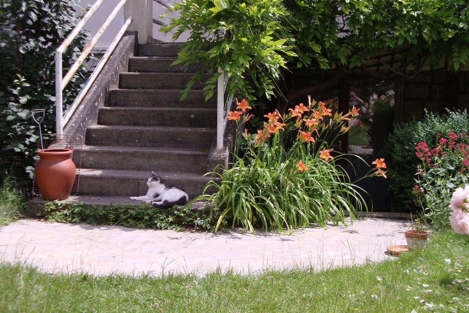 Gastfamilie Antony 126711