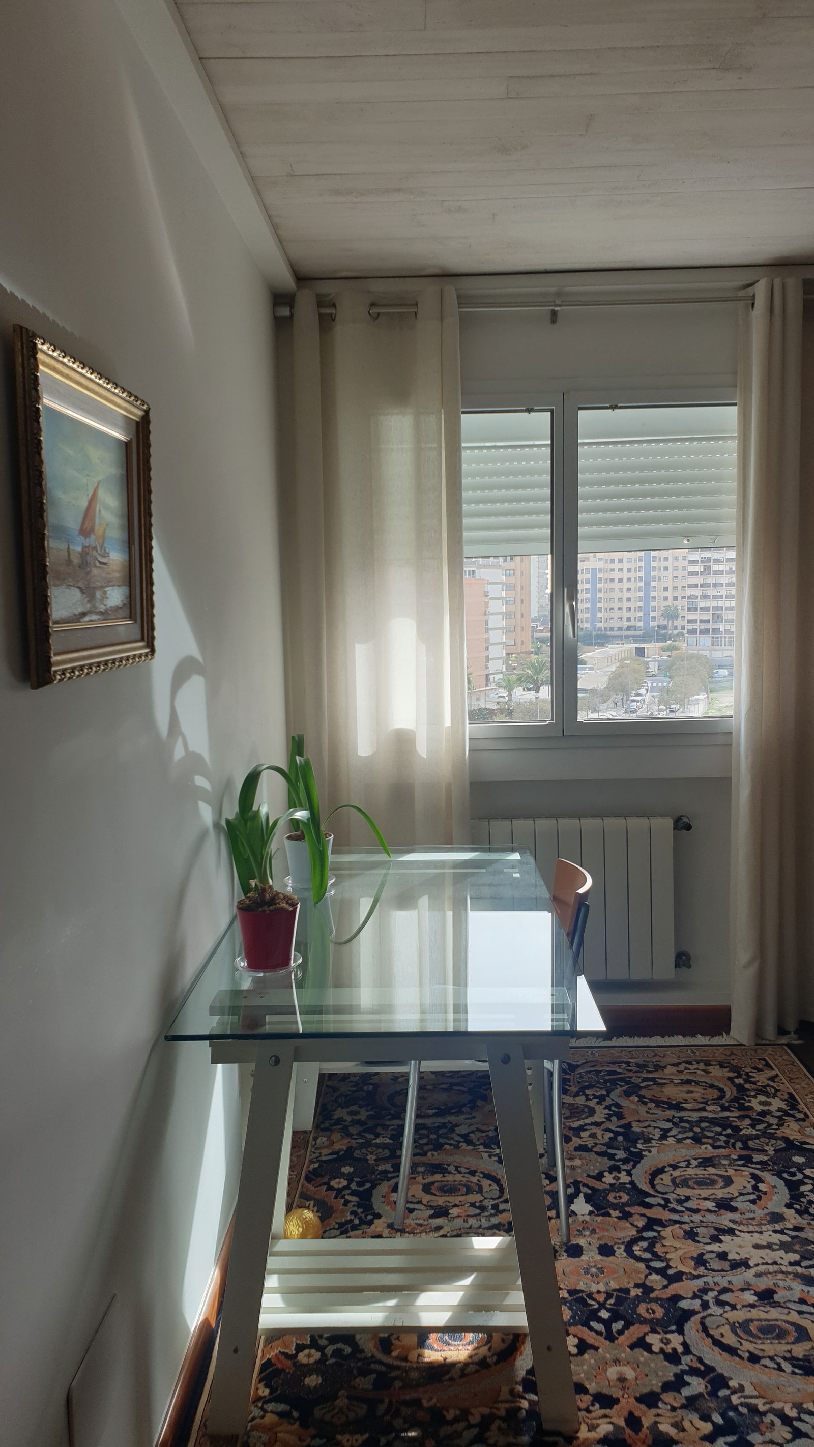 Gastfamilie Alacant 232578