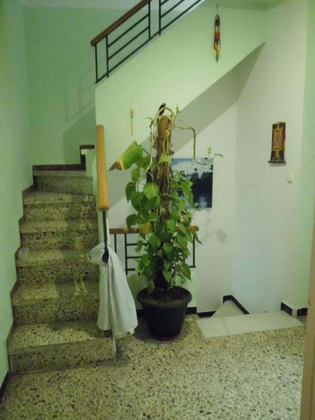 Kolokasie Almería 110957