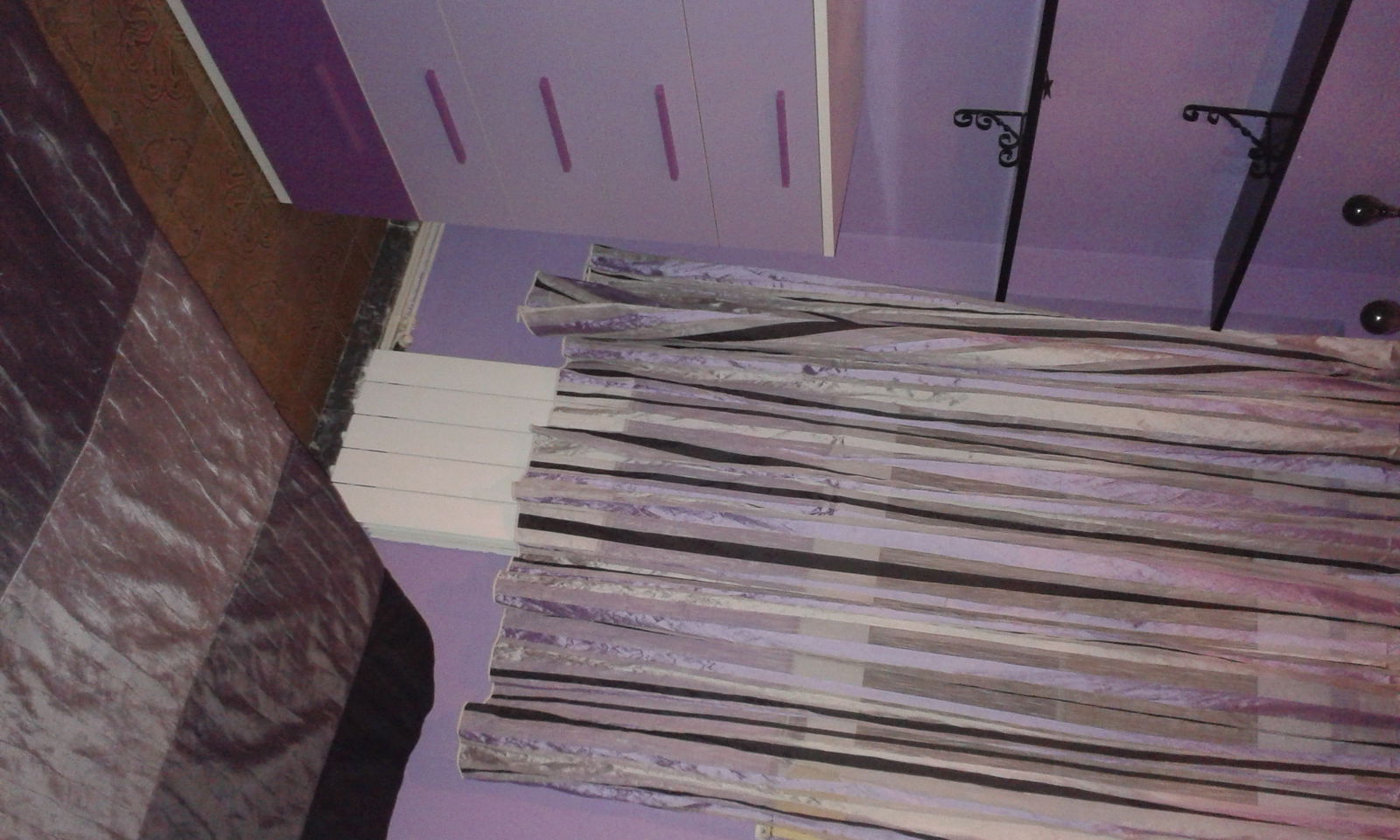 Kolokasie Barcelona 87586