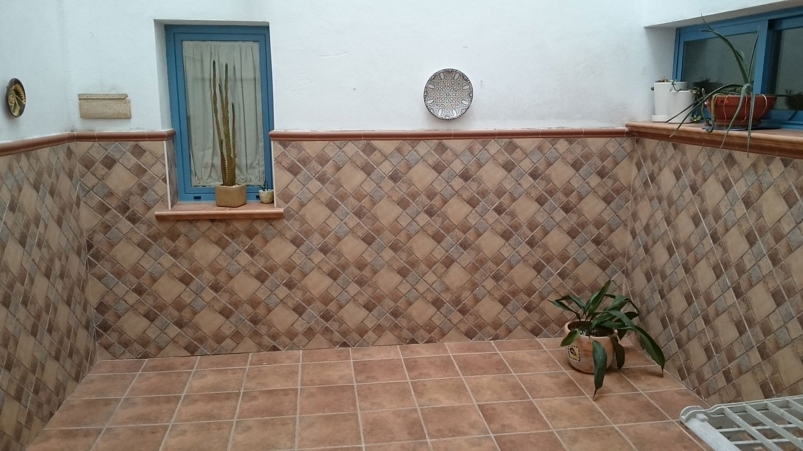 Kolokasie Sevilla 148048