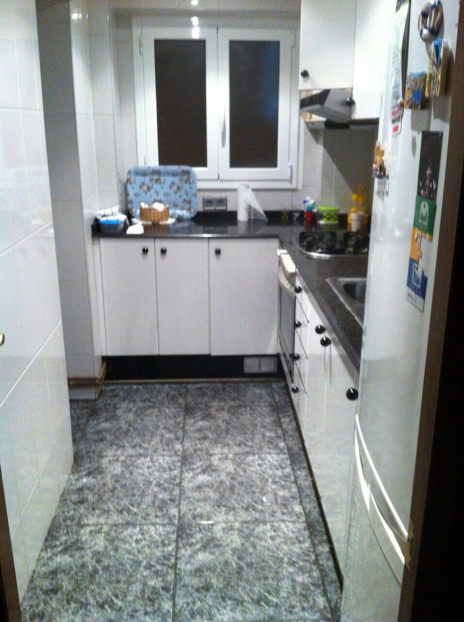 Kolokasie Sant Adrià de Besòs 91024