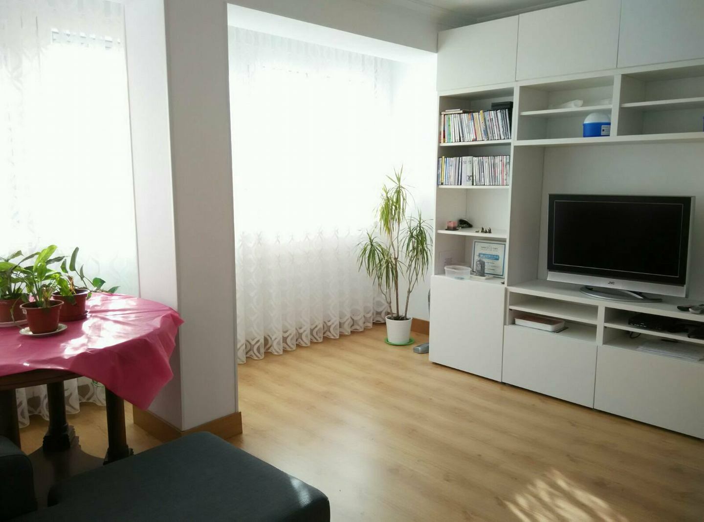 Kolokasie Santander 191223