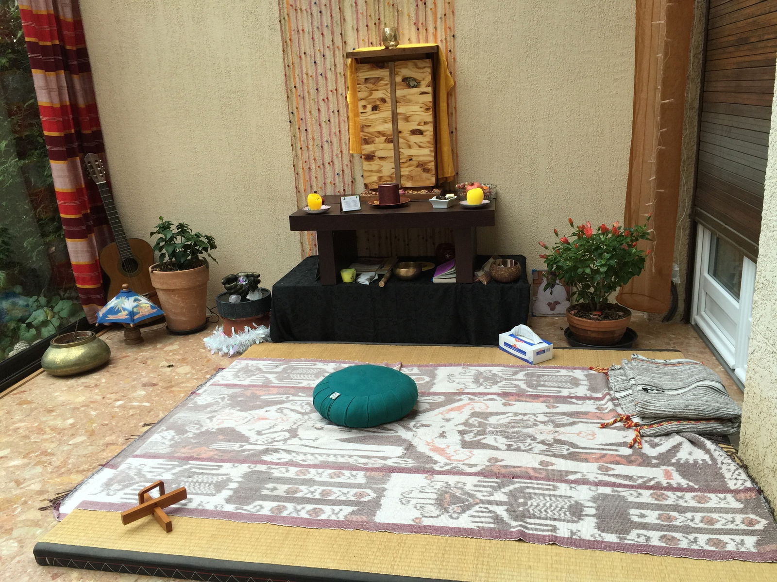 Kolokasie Ris-Orangis 249613