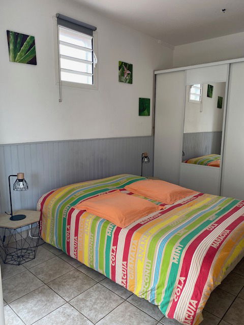 Estudio Independiente Piton 230708