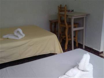 Room For Rent Viñales 203791-1