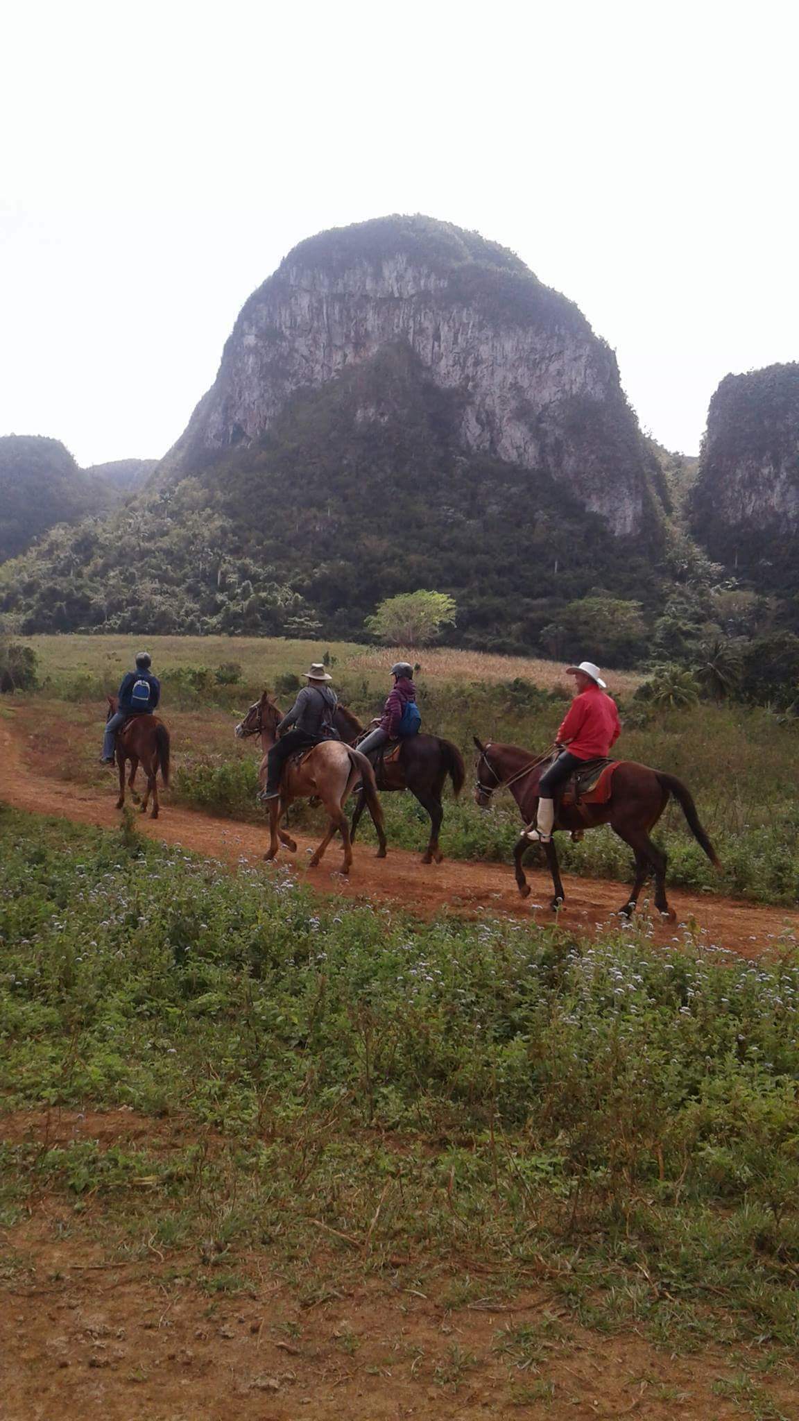 Gastfamilie Viñales 203791