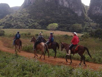 Chambre Chez L'habitant Viñales 203791-7